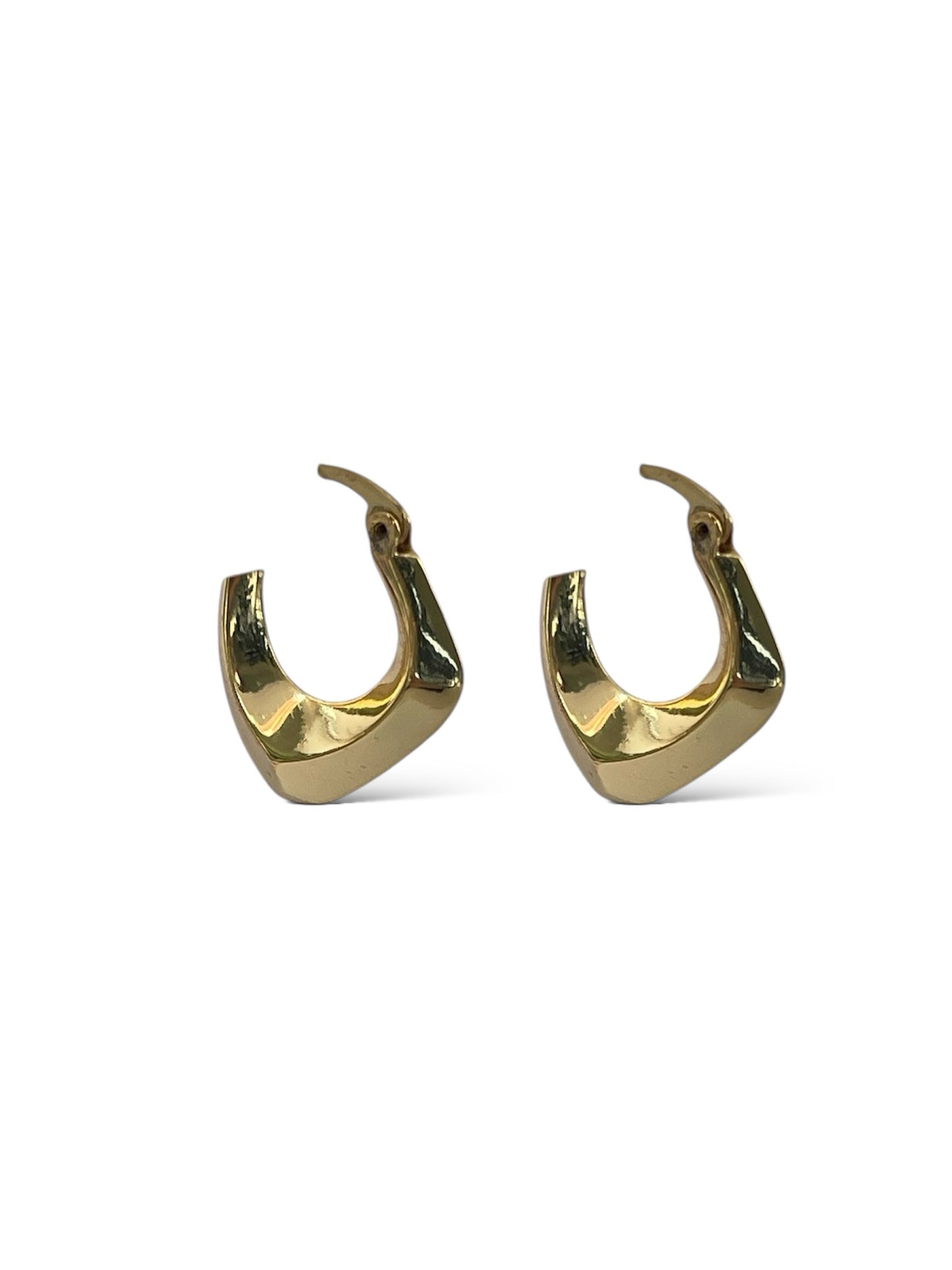 Elegant Hoop Earrings image 0