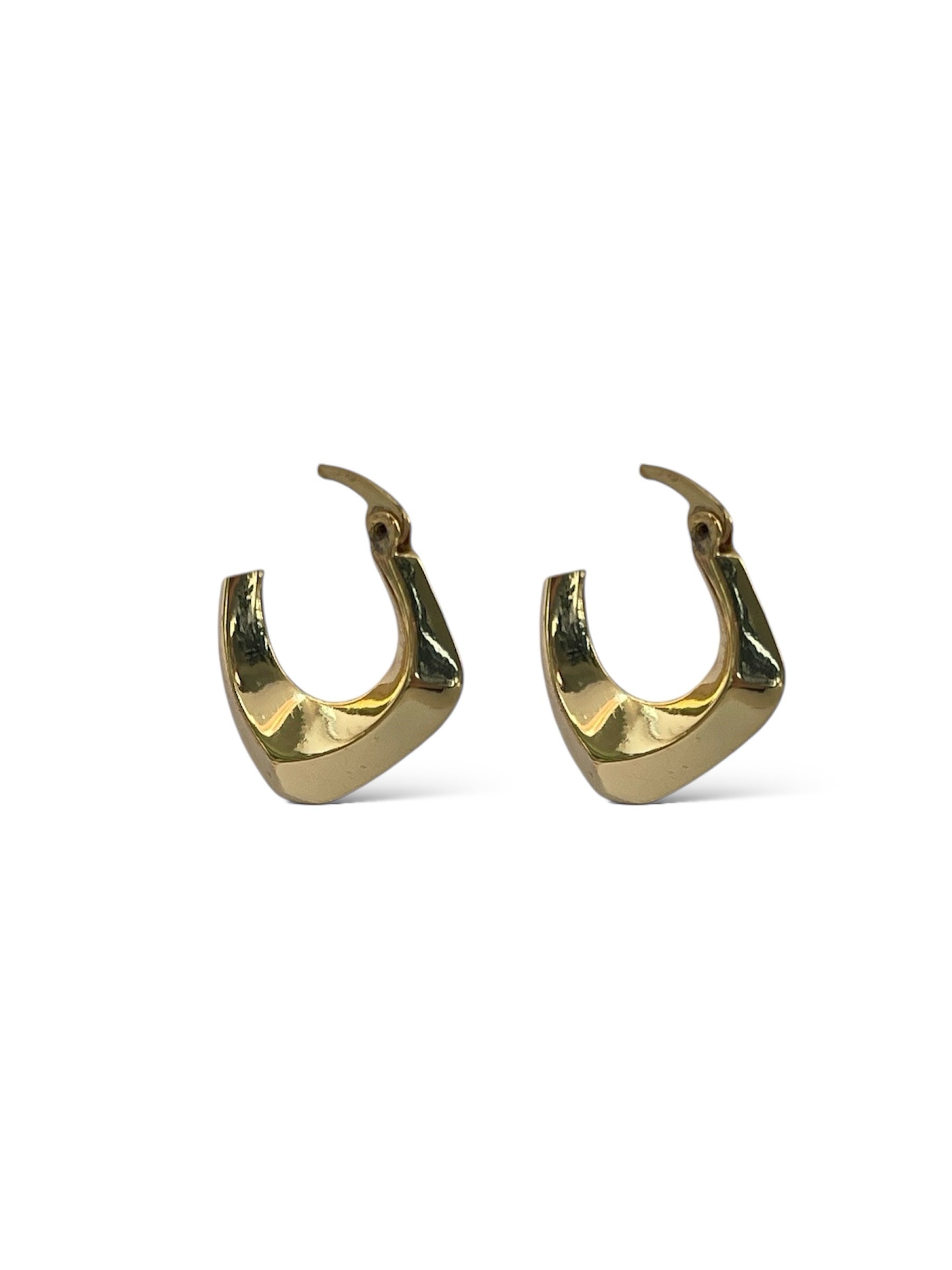 Elegant Hoop Earrings image 0