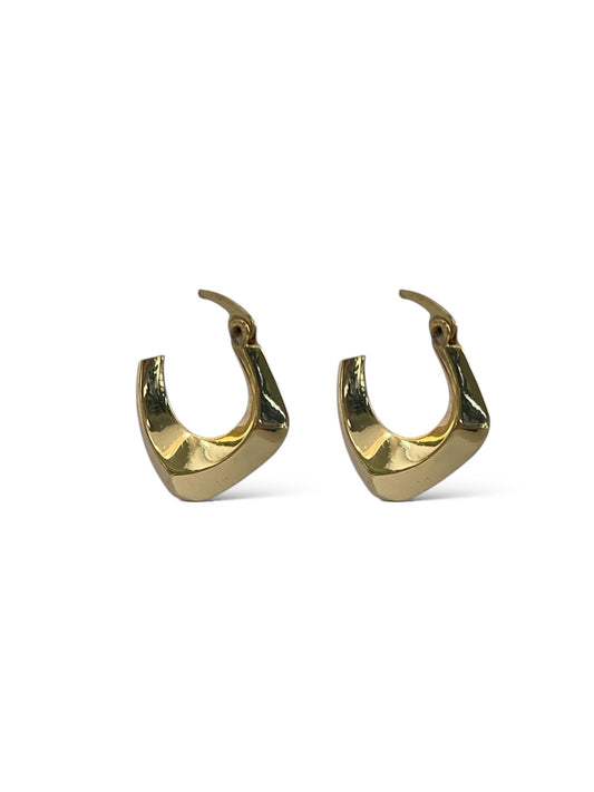 Elegant Hoop Earrings image 0